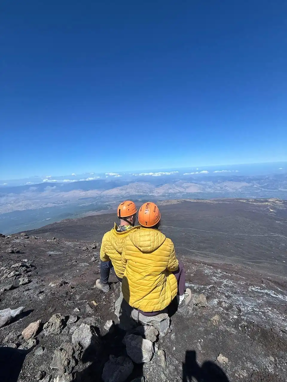 Viena sausa, apdeguša koka stumbrs vulkāniskā laukā ar zaļu mežu un spilgti zilām debesīm fonā.